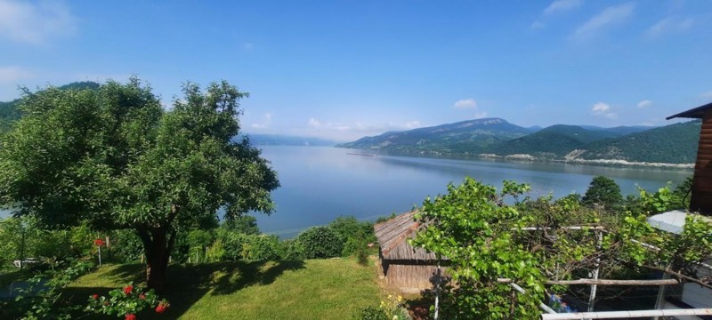 Široki pogled iz bašte na Dunav po vedrom danu, u prvom planu voćka i vinova loza