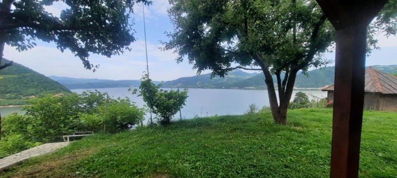 Travnjak i voćke u bašti, iza njih Dunav između zelenih brda